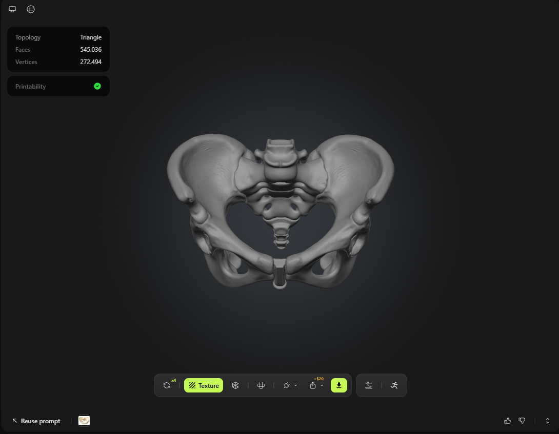 Meshy.ai pelvis model önizleme ekran görüntüsü